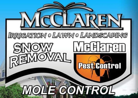 McClaren Enterprise Logo