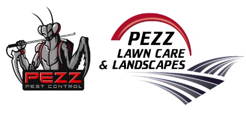 Pezz LLC Logo