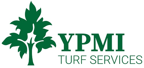 YPMI Services Logo