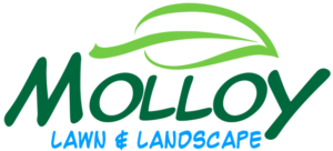 Molloy Lawn & Landscape Logo